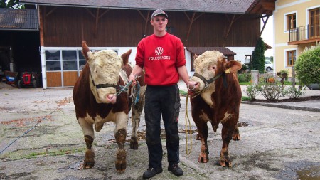 Dagobert Pp* und Lumpi Pp*