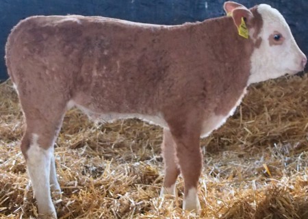 Ein kleiner Atlantis Sohn.