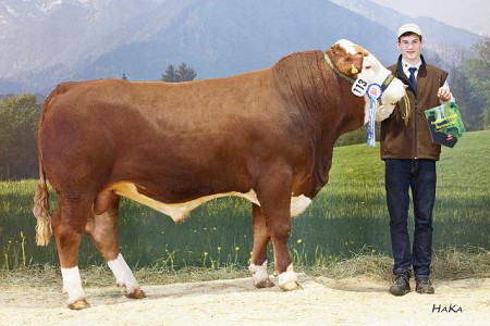 Bundesreservesieger 2016 männlich